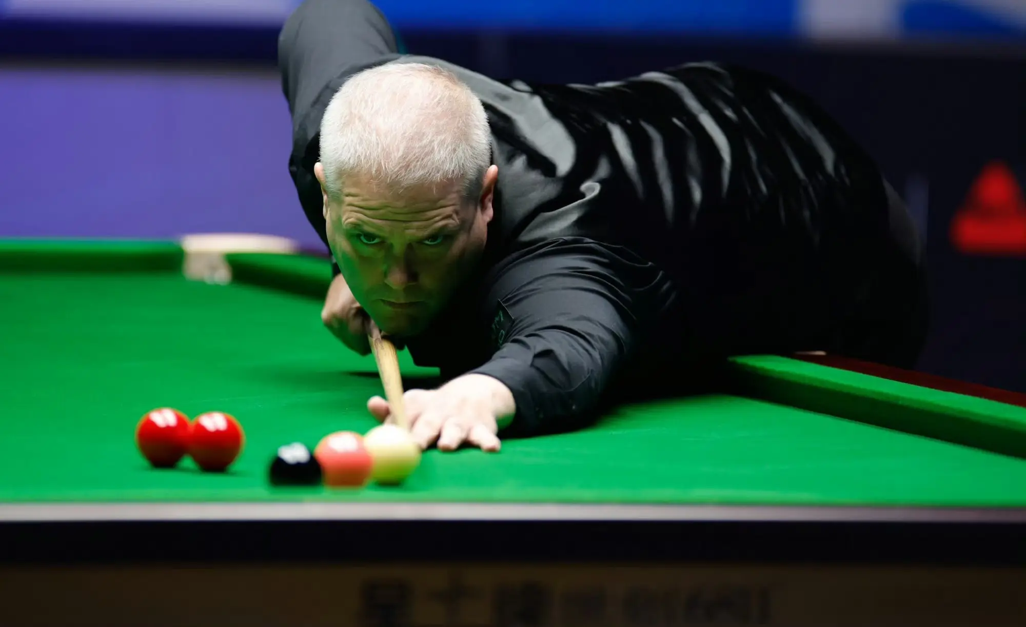 如果失去资 如果失去资